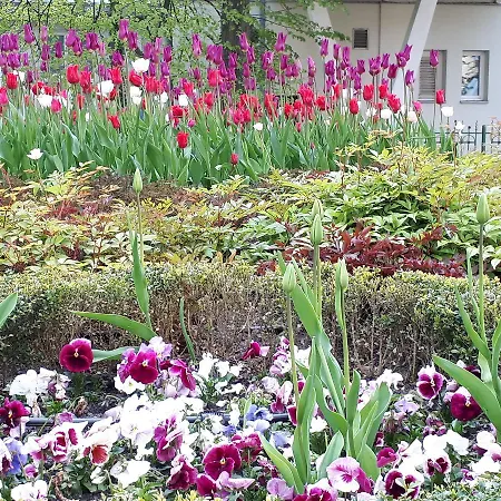 Kierunek Weranda Haffnera 32 Apartment *