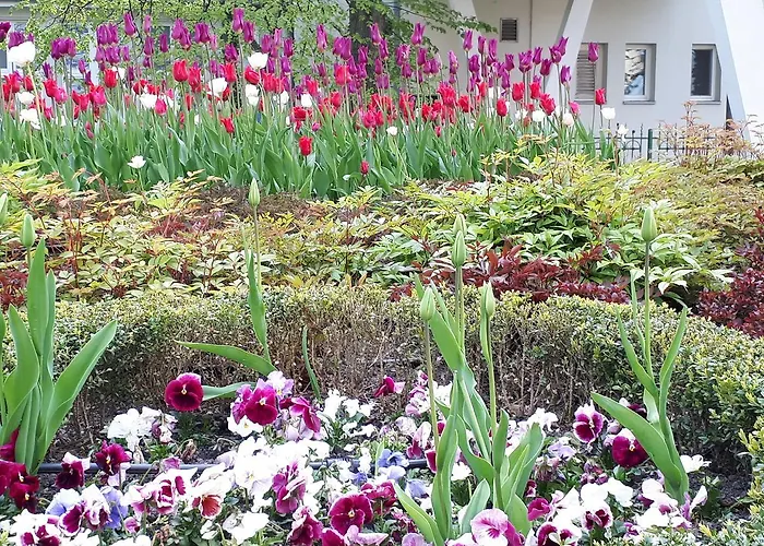 Kierunek Weranda Haffnera 32 Апартаменты *